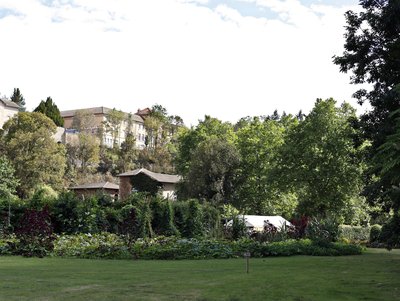 Fête de l'arbre