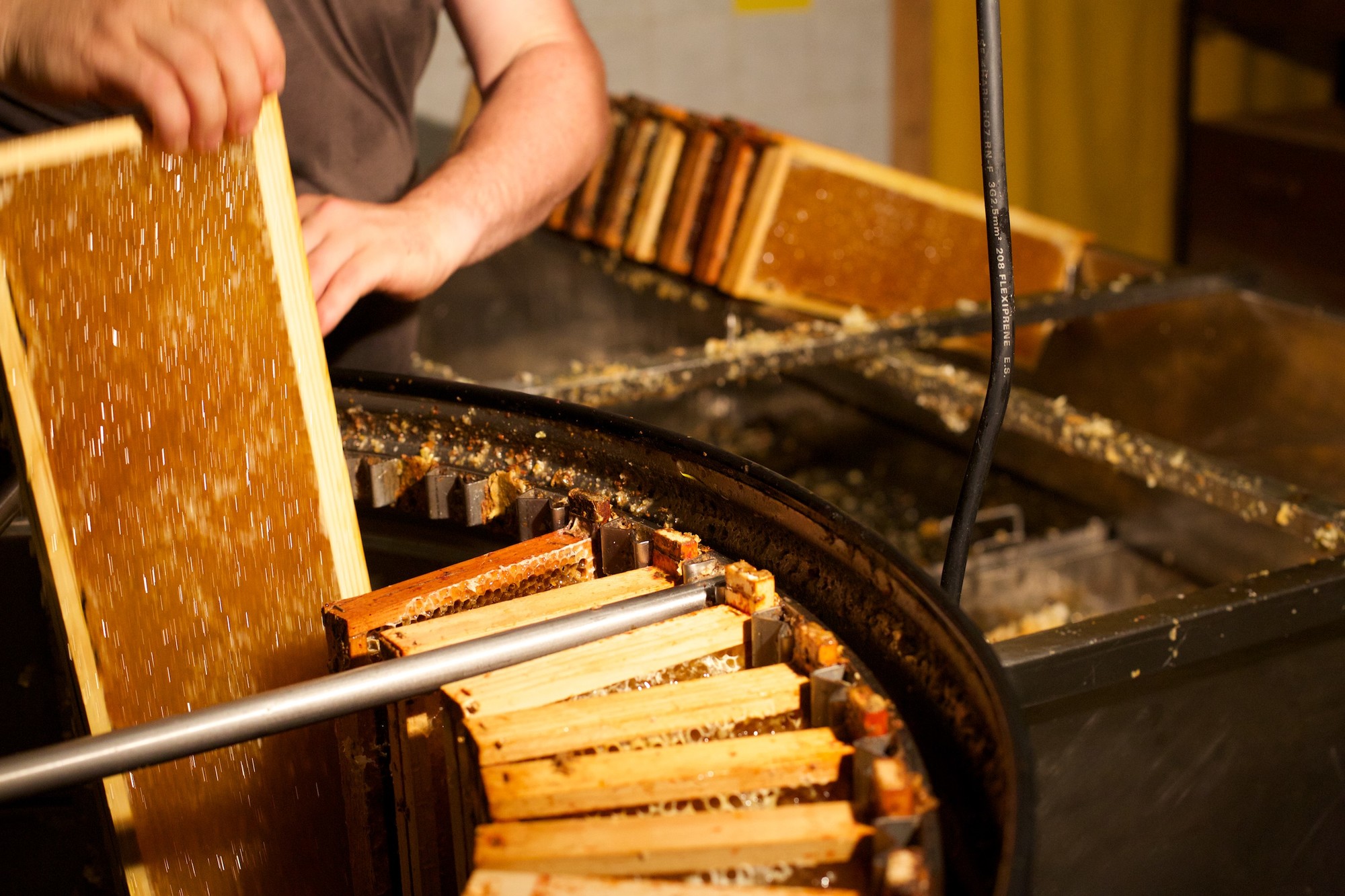 La Cité de l'Abeille