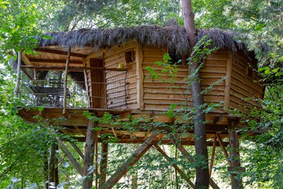 Cabane des Fraises des bois