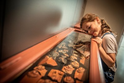 Découverte d'une vitrine/ Lezoux