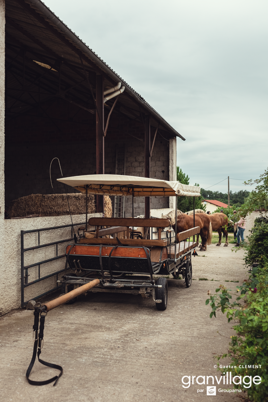 Tour de la ferme en attelage & dégustation