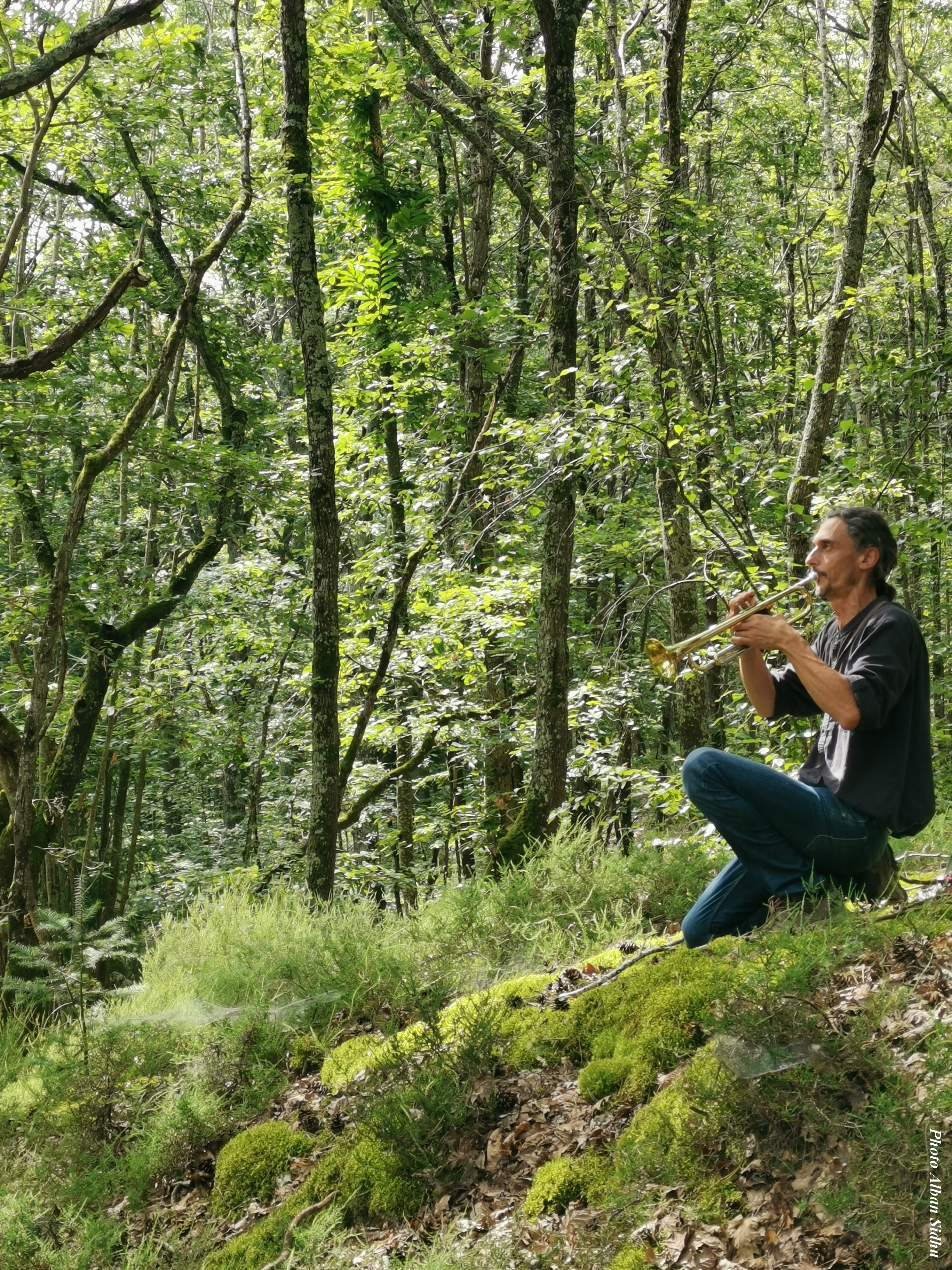 Balade musicale dans les bois de la Comté_Sallèdes
