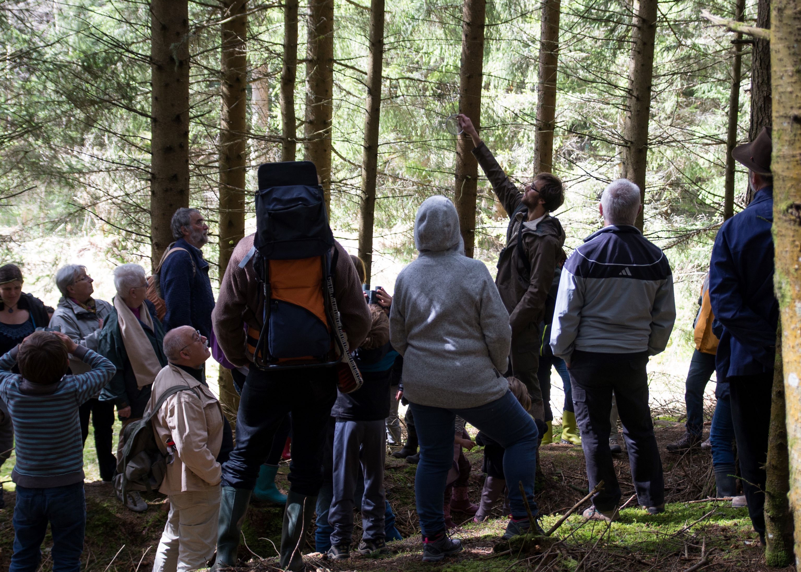 Les forêts du Fossat_Job