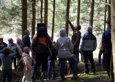 Les forêts du Fossat_Job