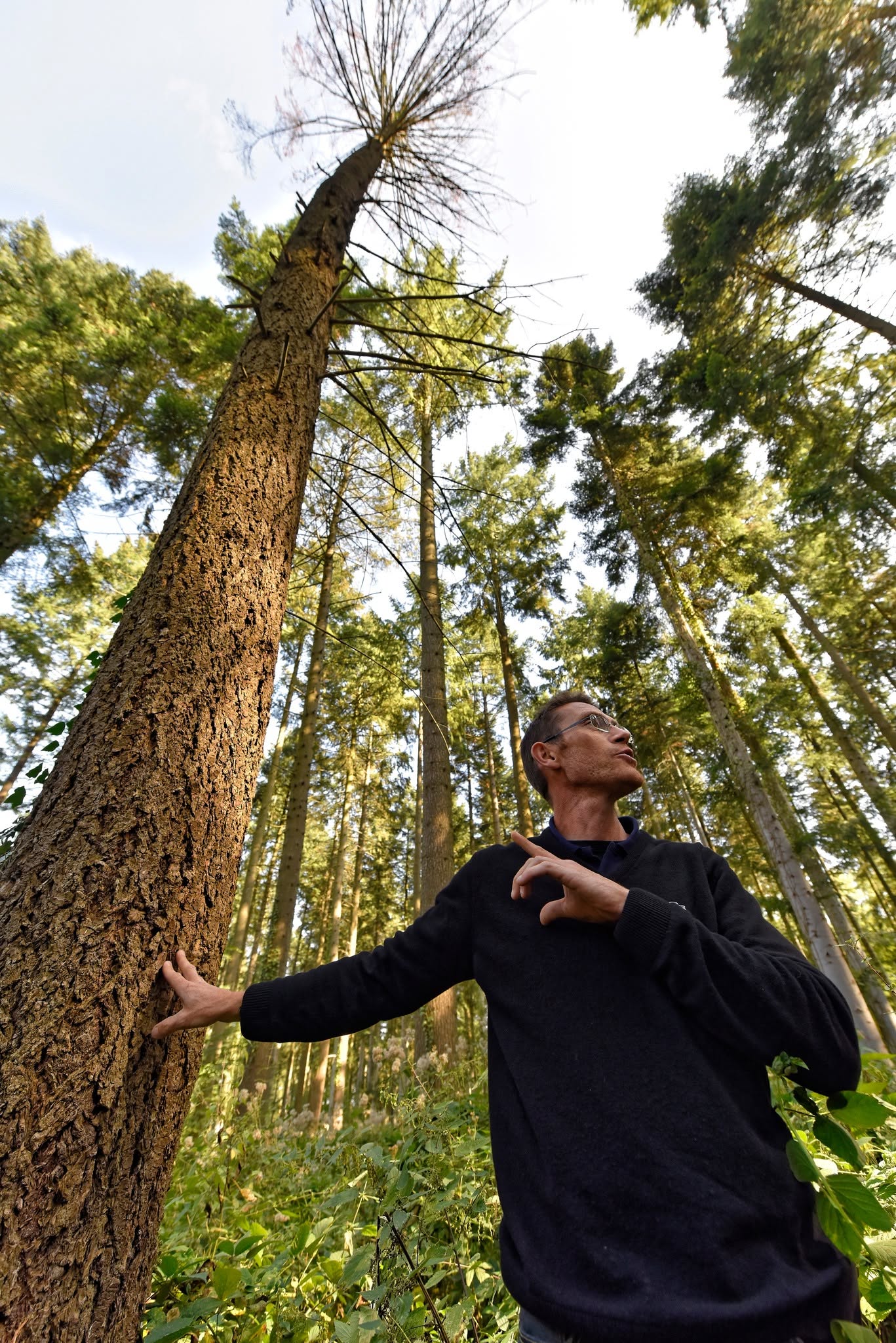 La forêt sous toutes ses facettes_Sallèdes