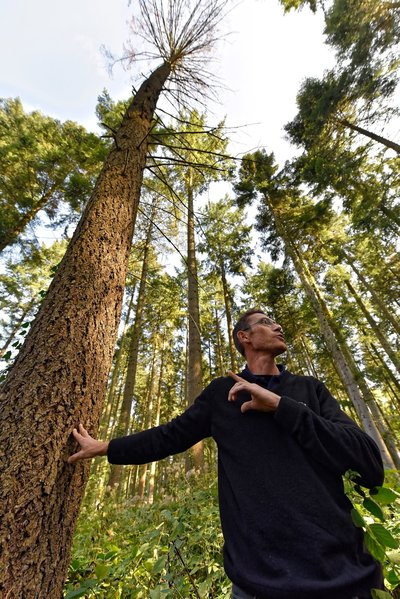 La forêt sous toutes ses facettes_Sallèdes