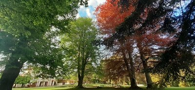 Parc du Domaine de Marchal