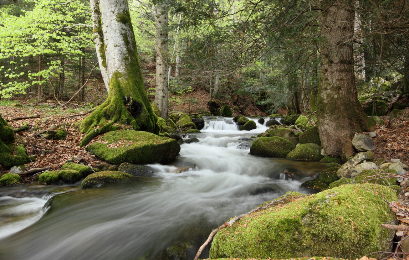 La cascade de Gomot_Saint-Germain-l'Herm