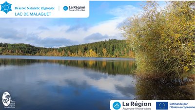 EVE-Lac de malaguet