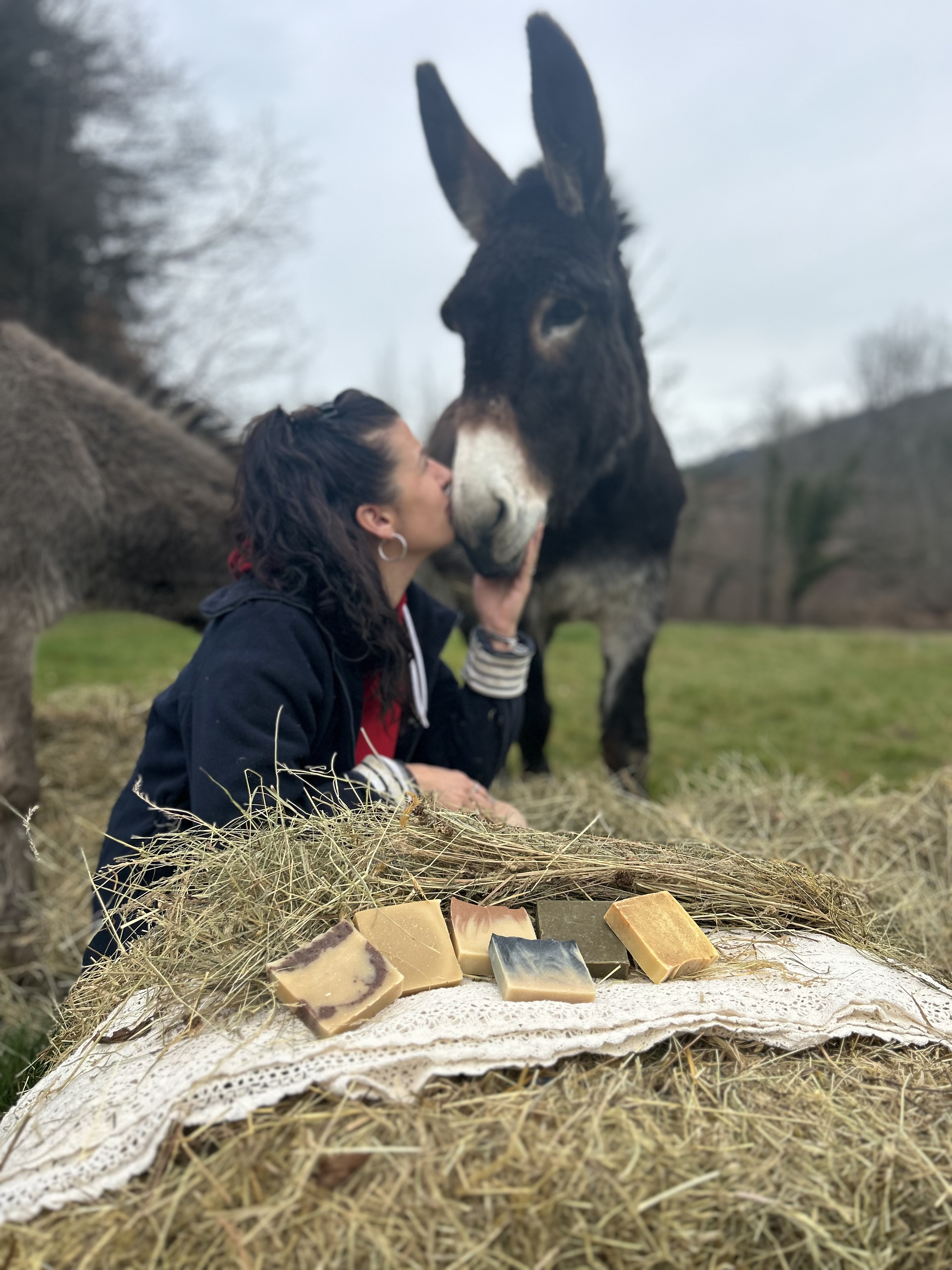 Anesse au Lait p'tits pieds