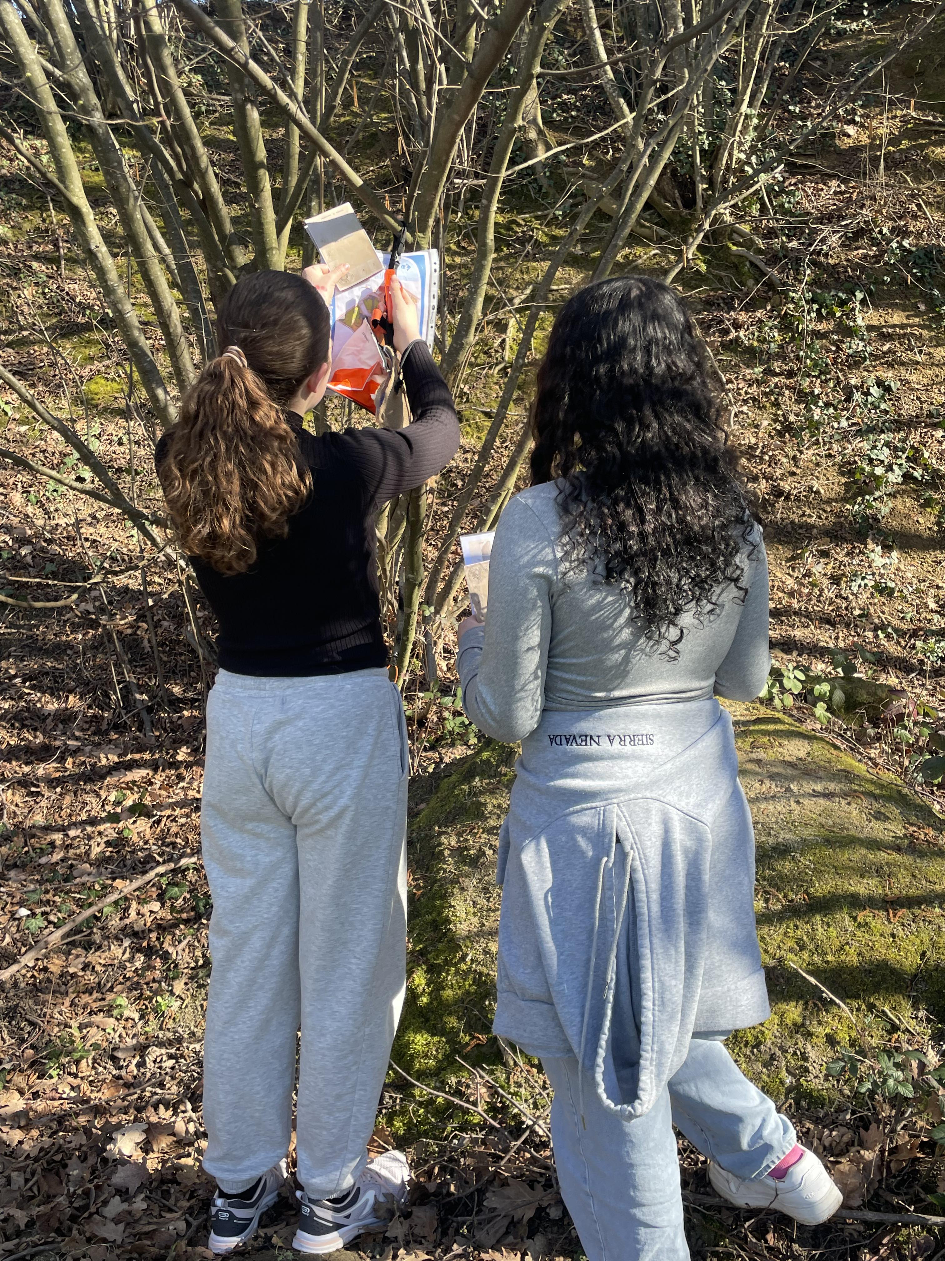 Parcours d'orientation