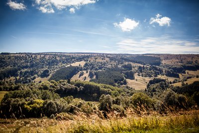 Hautes-Chaumes