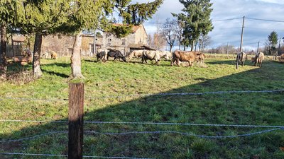 GAEC de la Blanchette