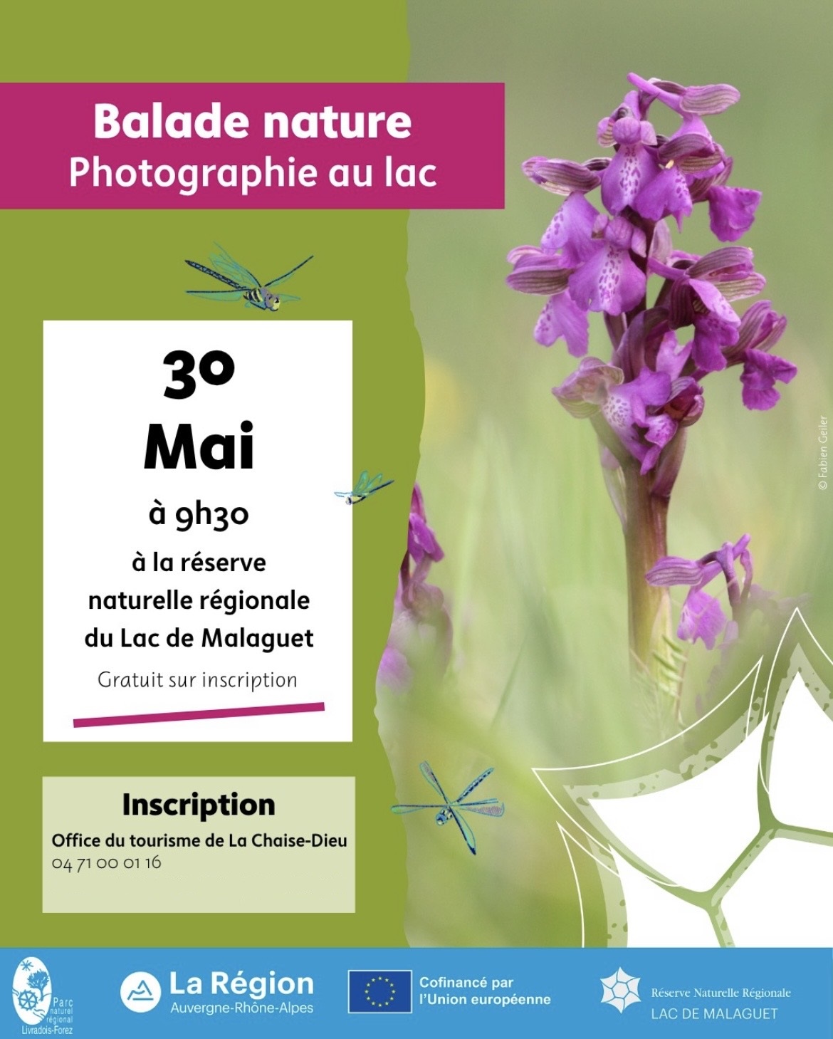 Balade nature "photographie au lac"_Monlet