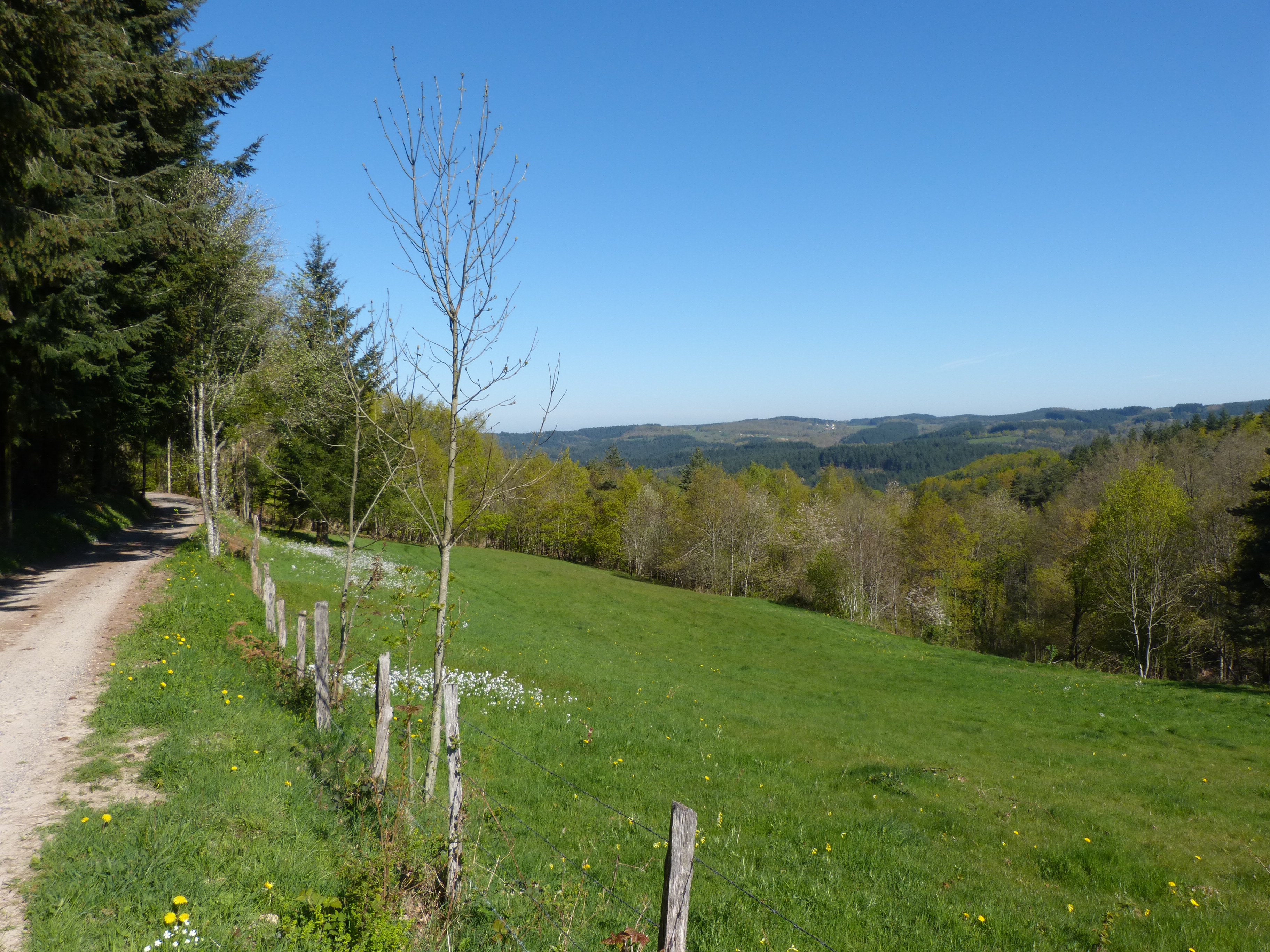 Montagne Bourbonnaise