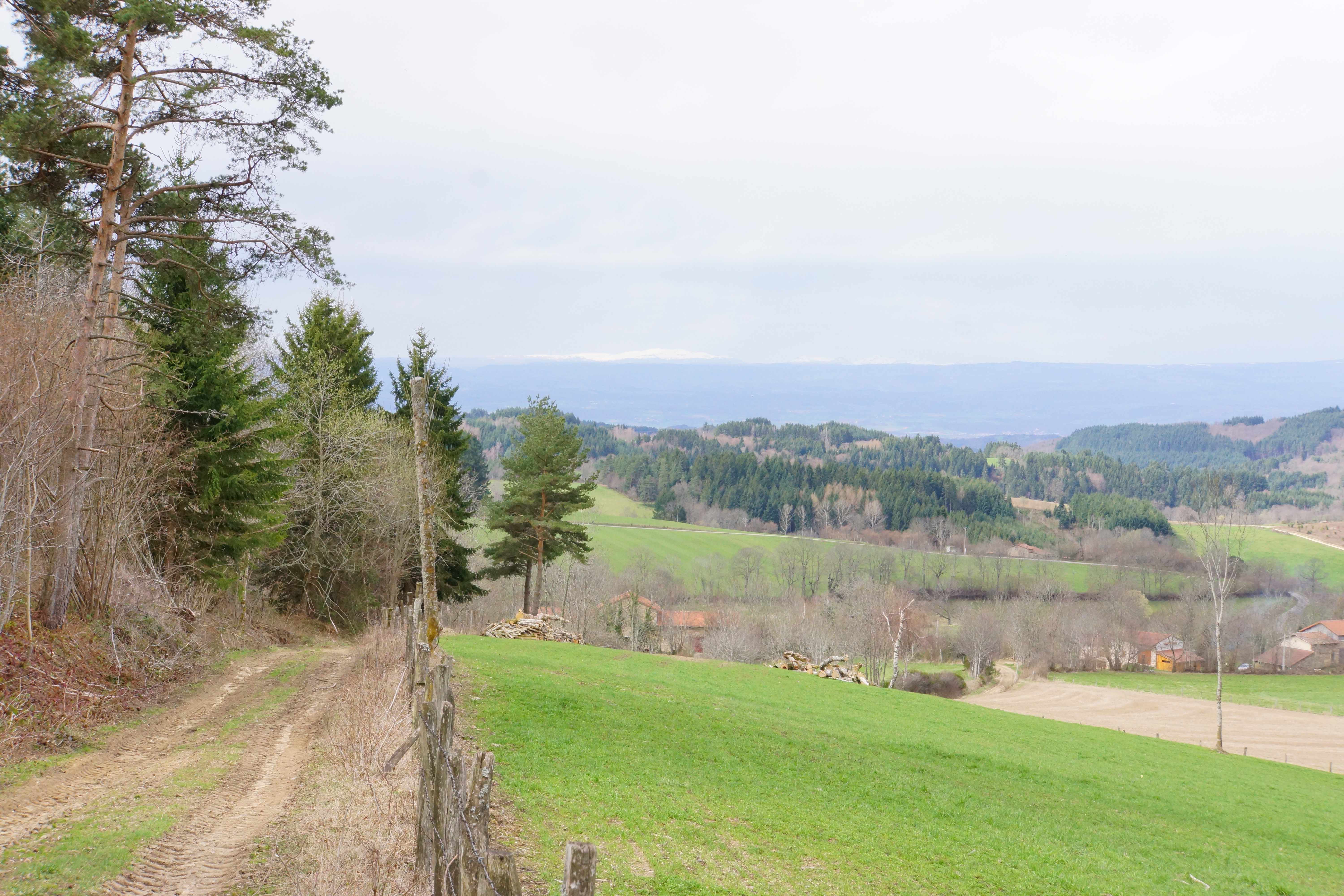 Vue sur le Sancy