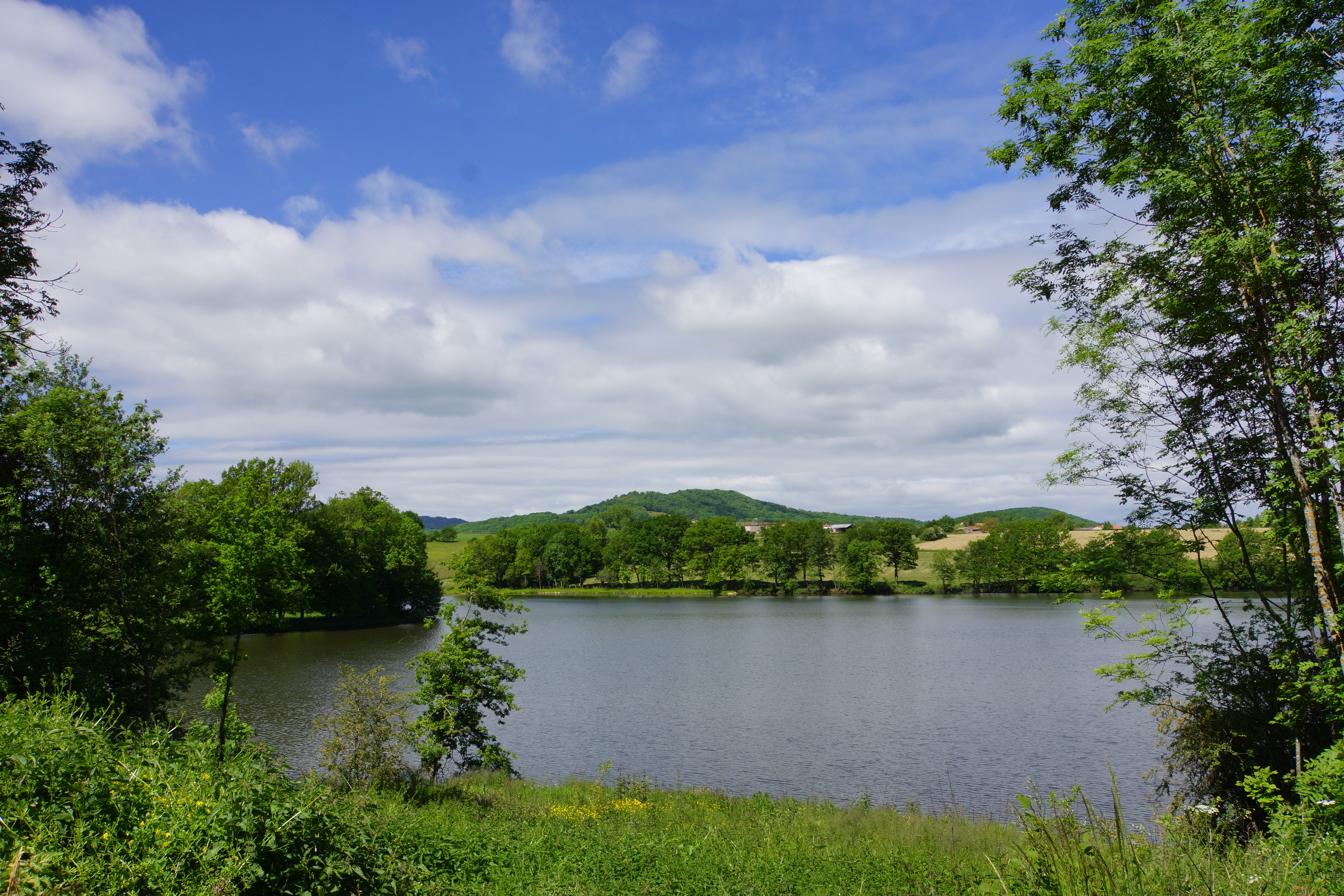 Vue sur l'étang des Maures