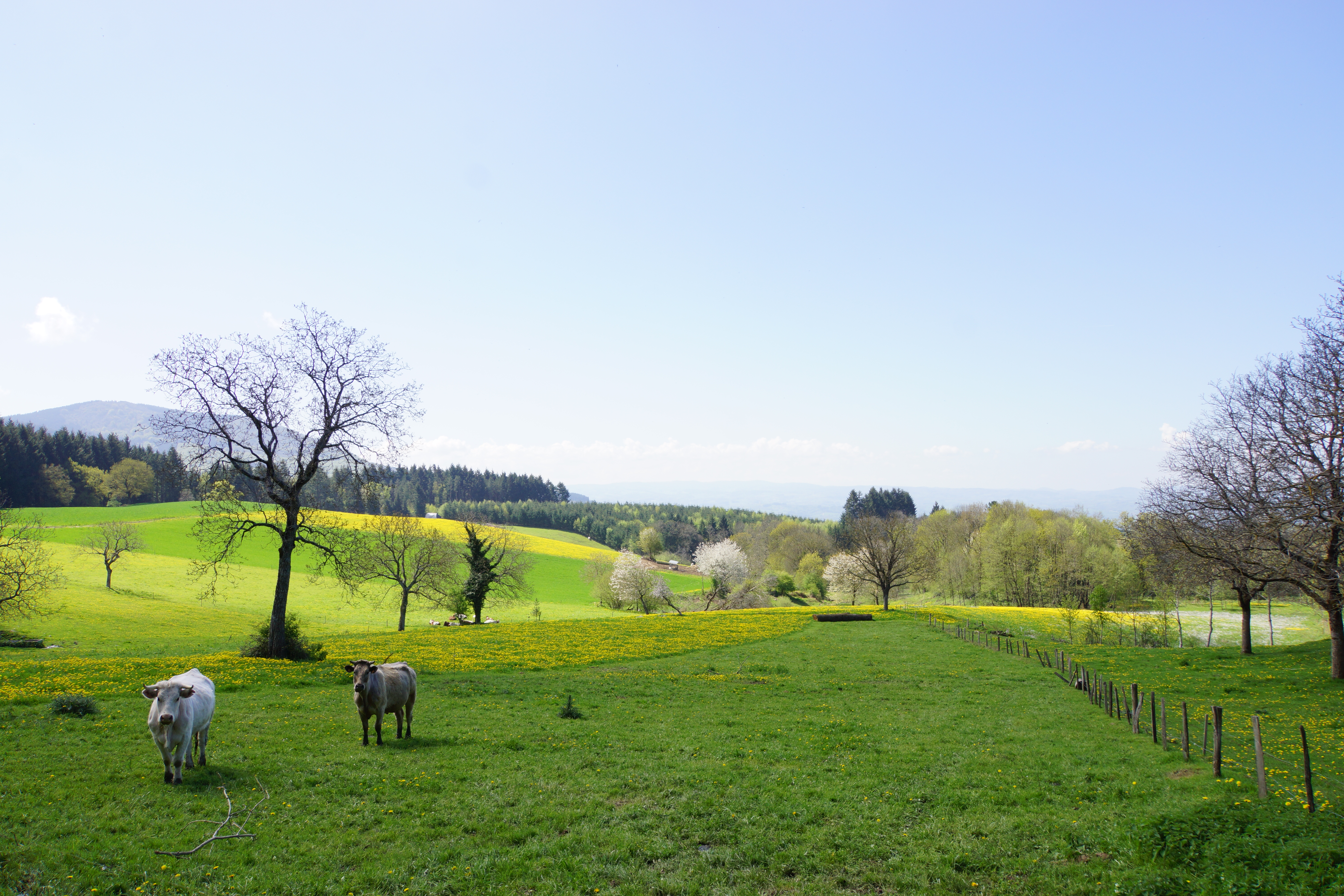 Puy d'Oscot