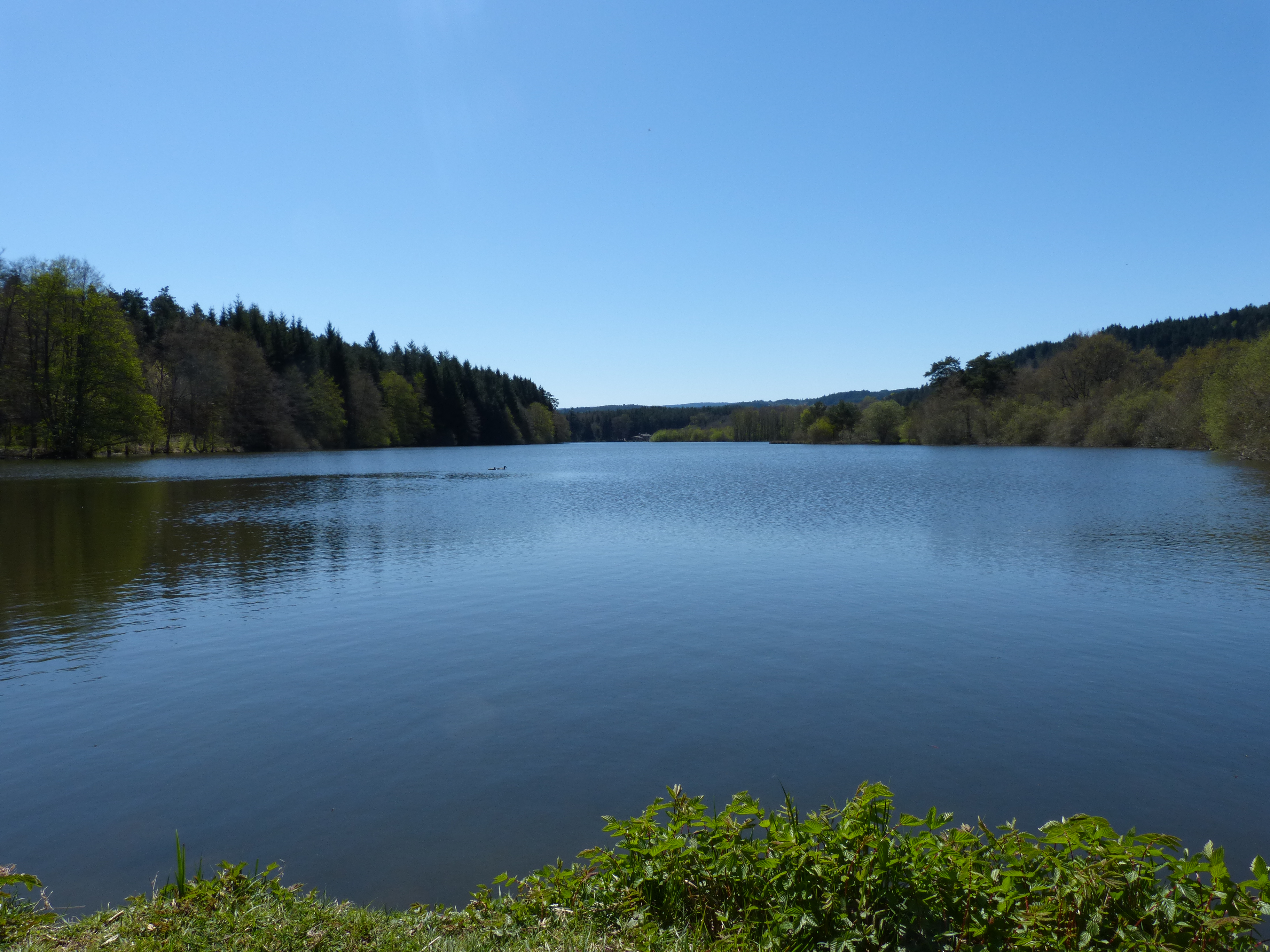 Etang de Riols