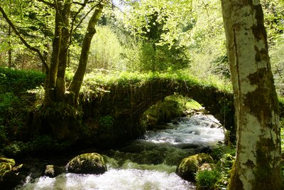 Le long du Batifol