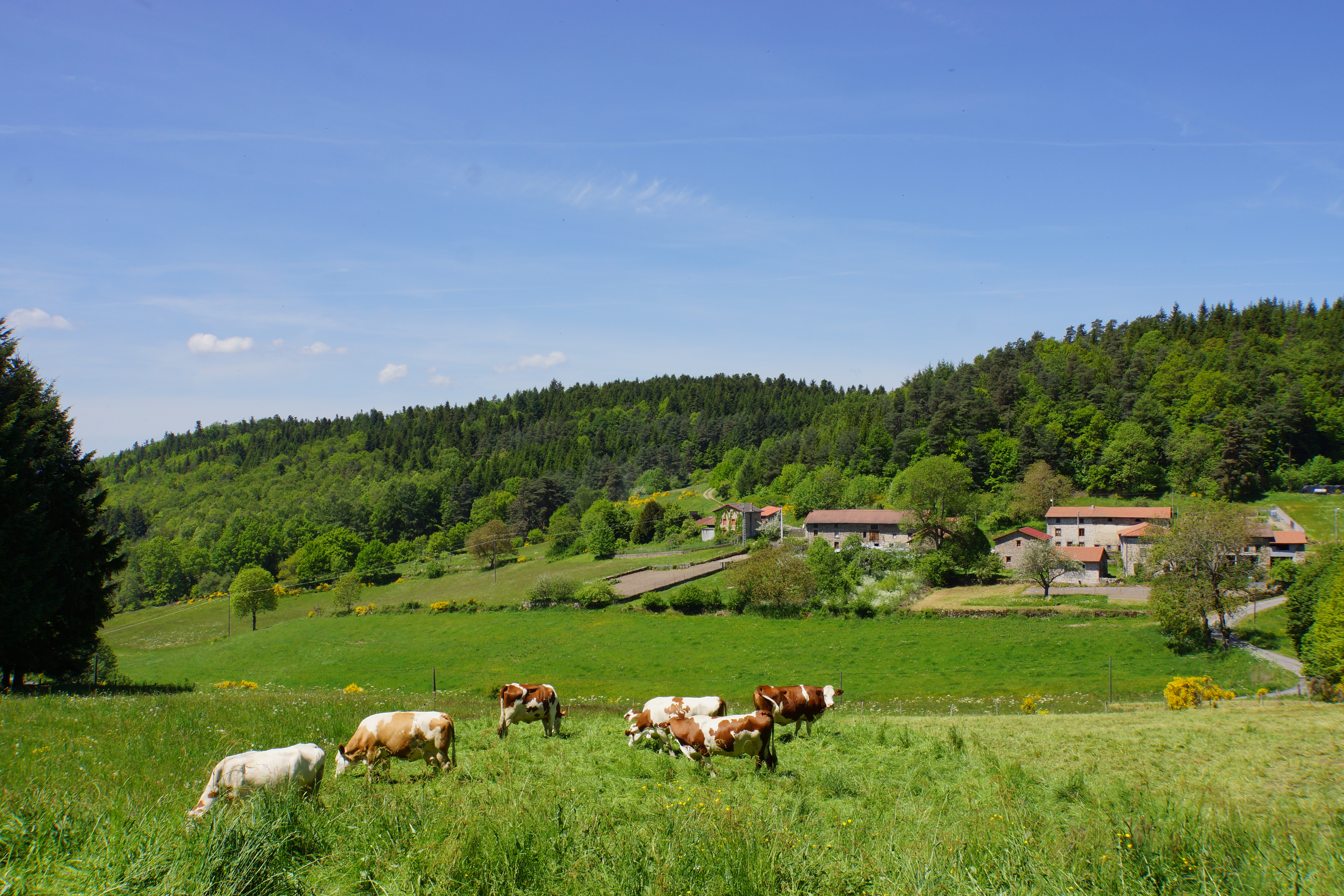Hameau de Plagne