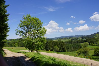 Vue de Chaillargues