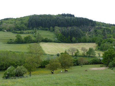 Vue sur le puy de Courdeloup