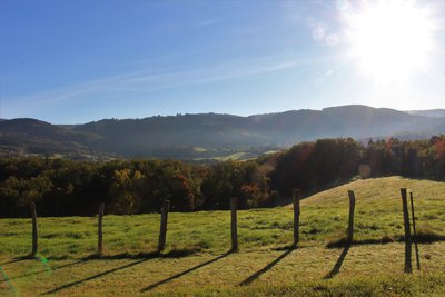 Vue sur les Bois Noirs