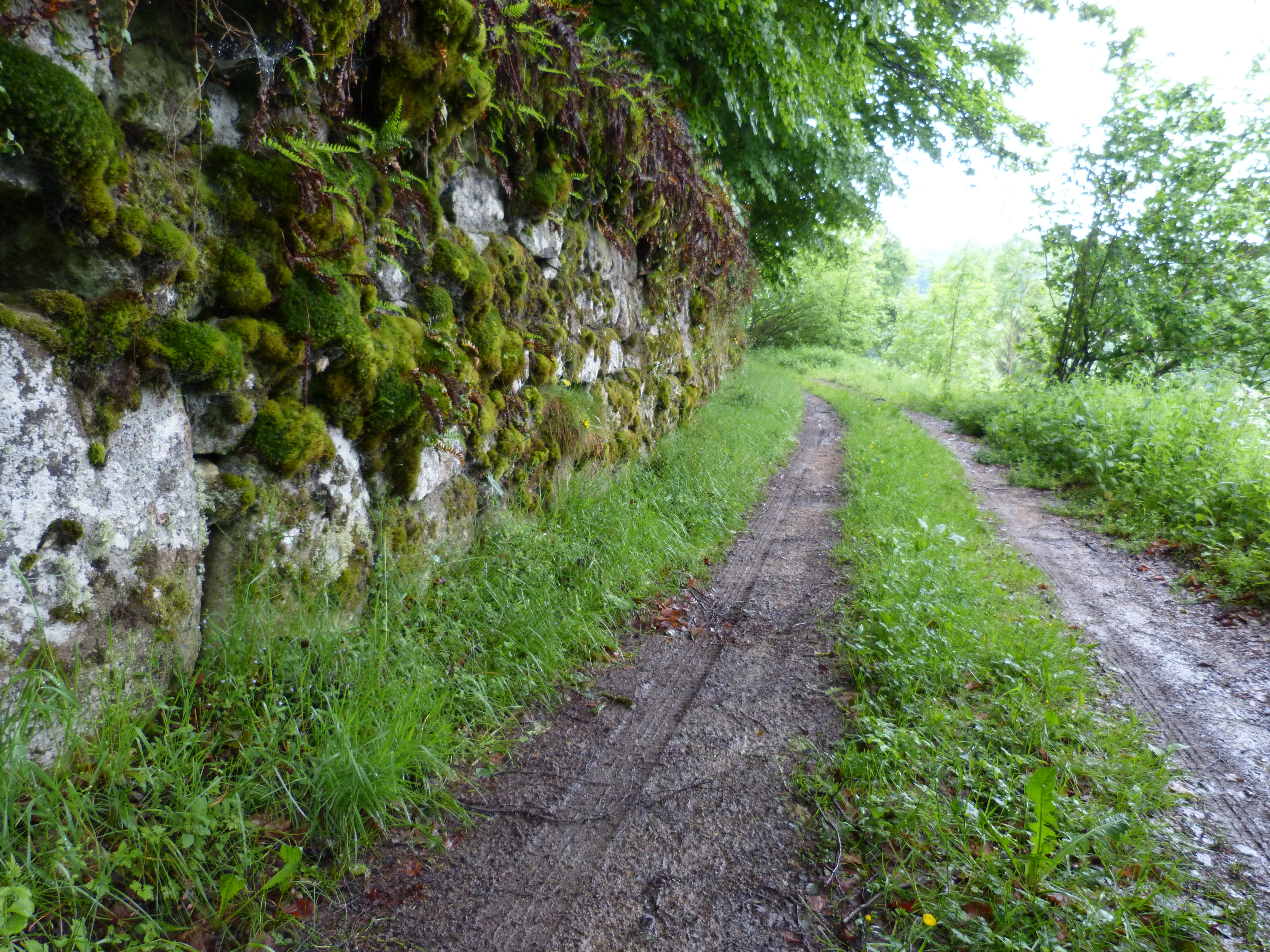 Chemin - Le chemin du Bost
