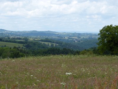 Point de vue