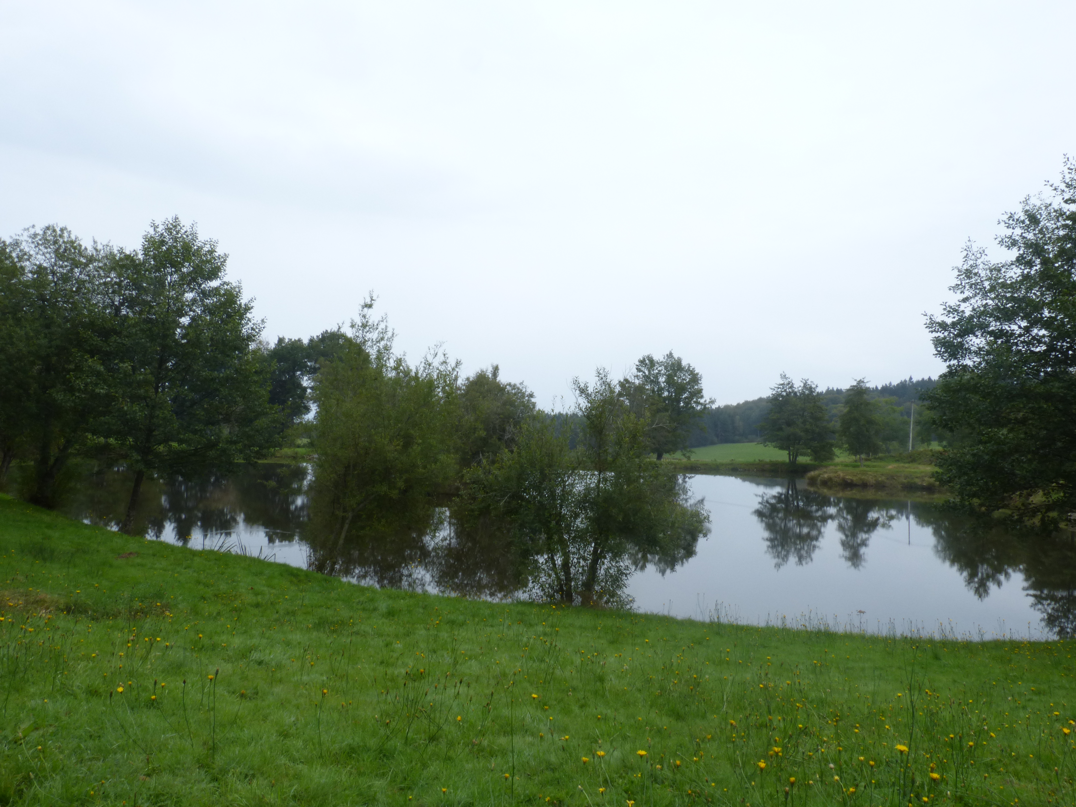 Etang de la Gardette