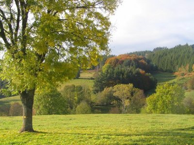 point de vue a sauvessanges