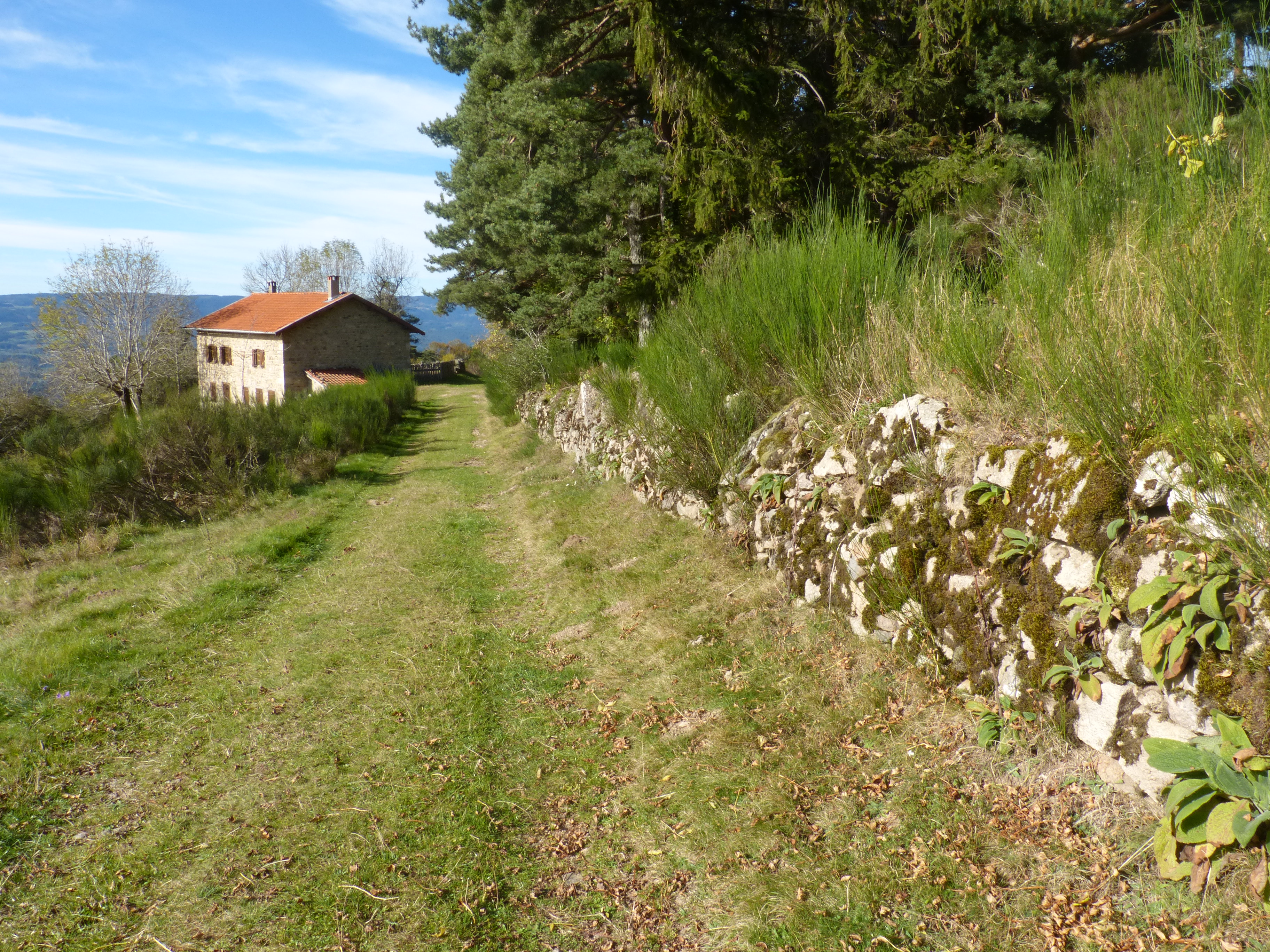 Chemin vers point de vue de Montravel