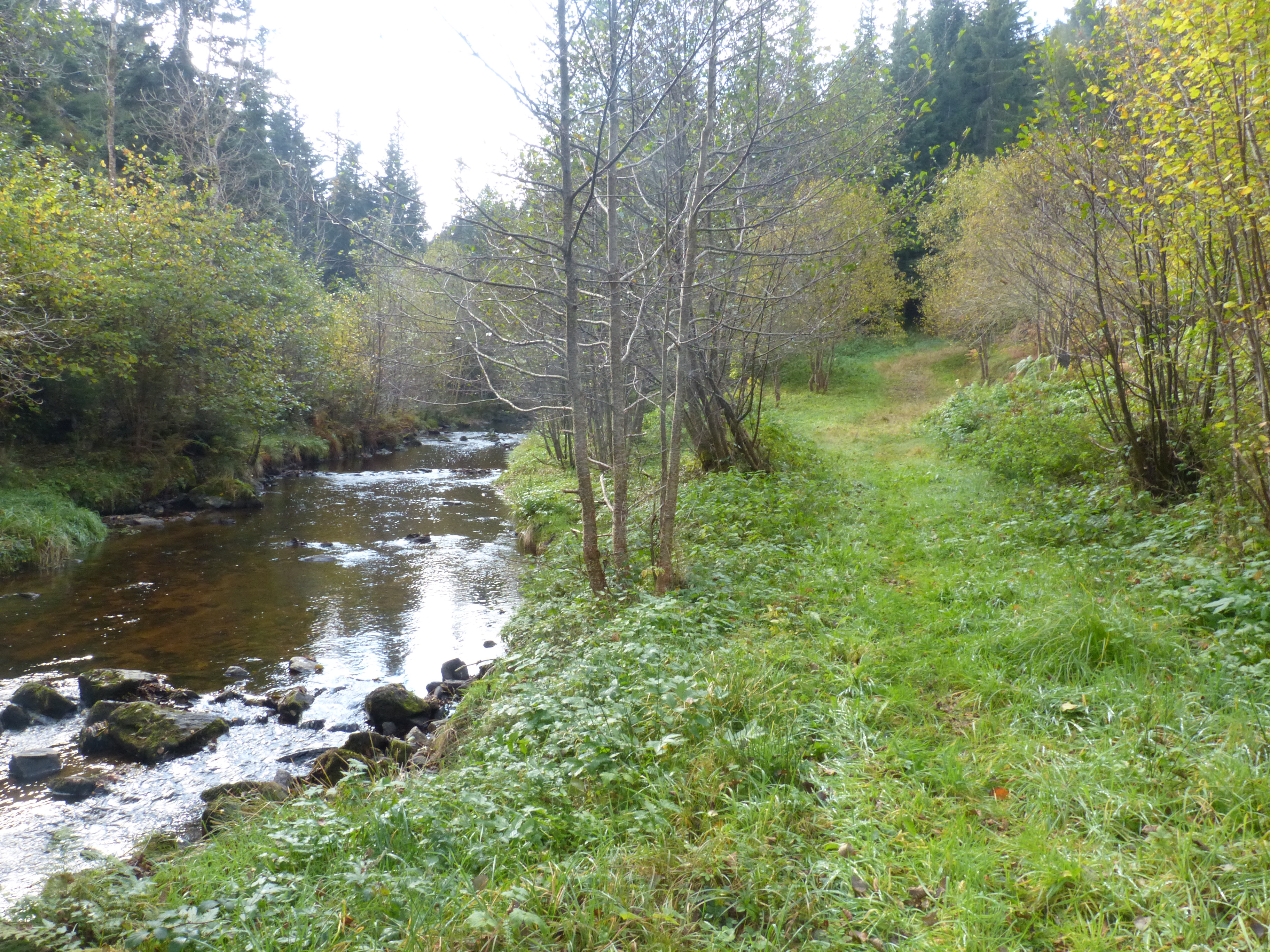 Rivière