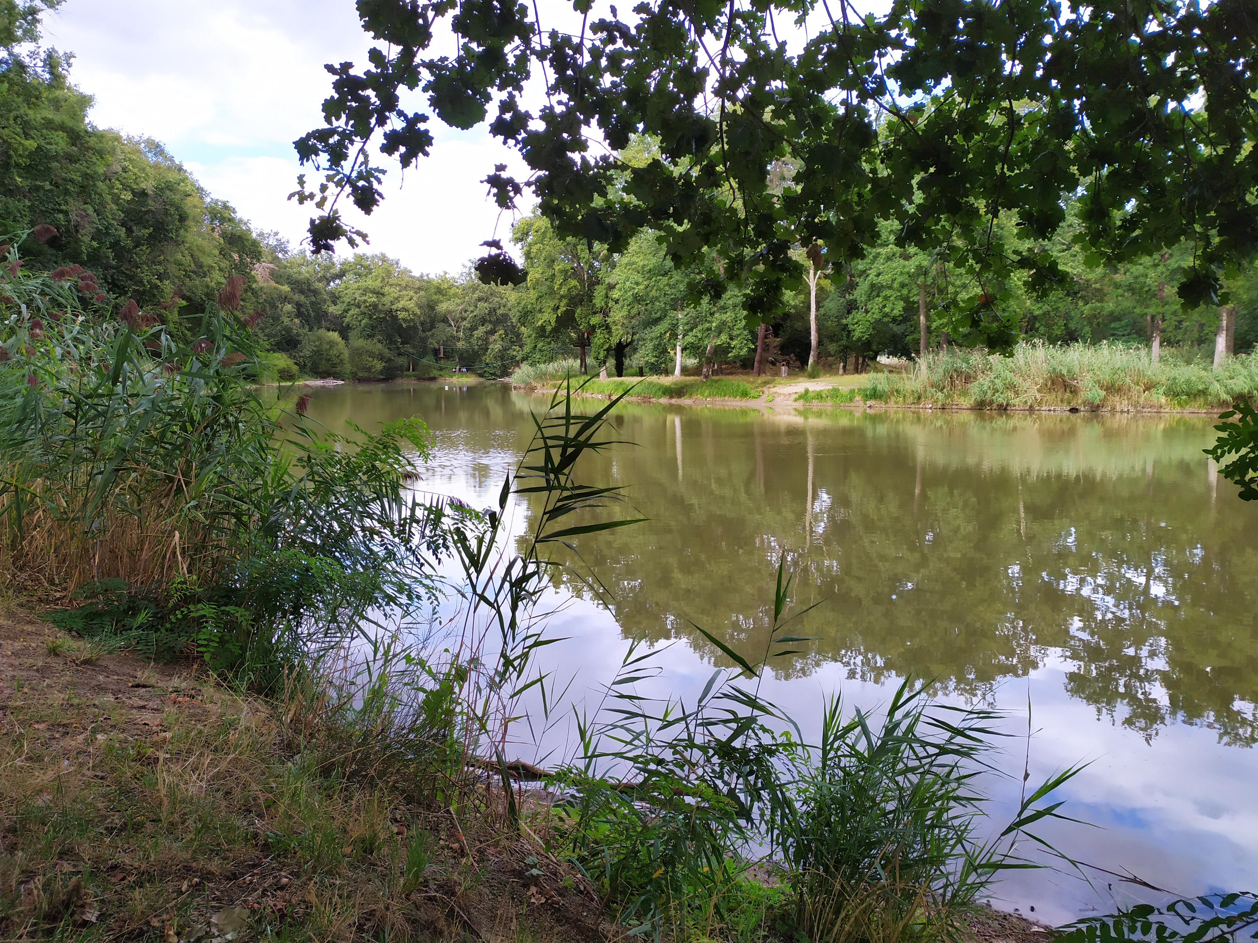 Etang de l'Isle