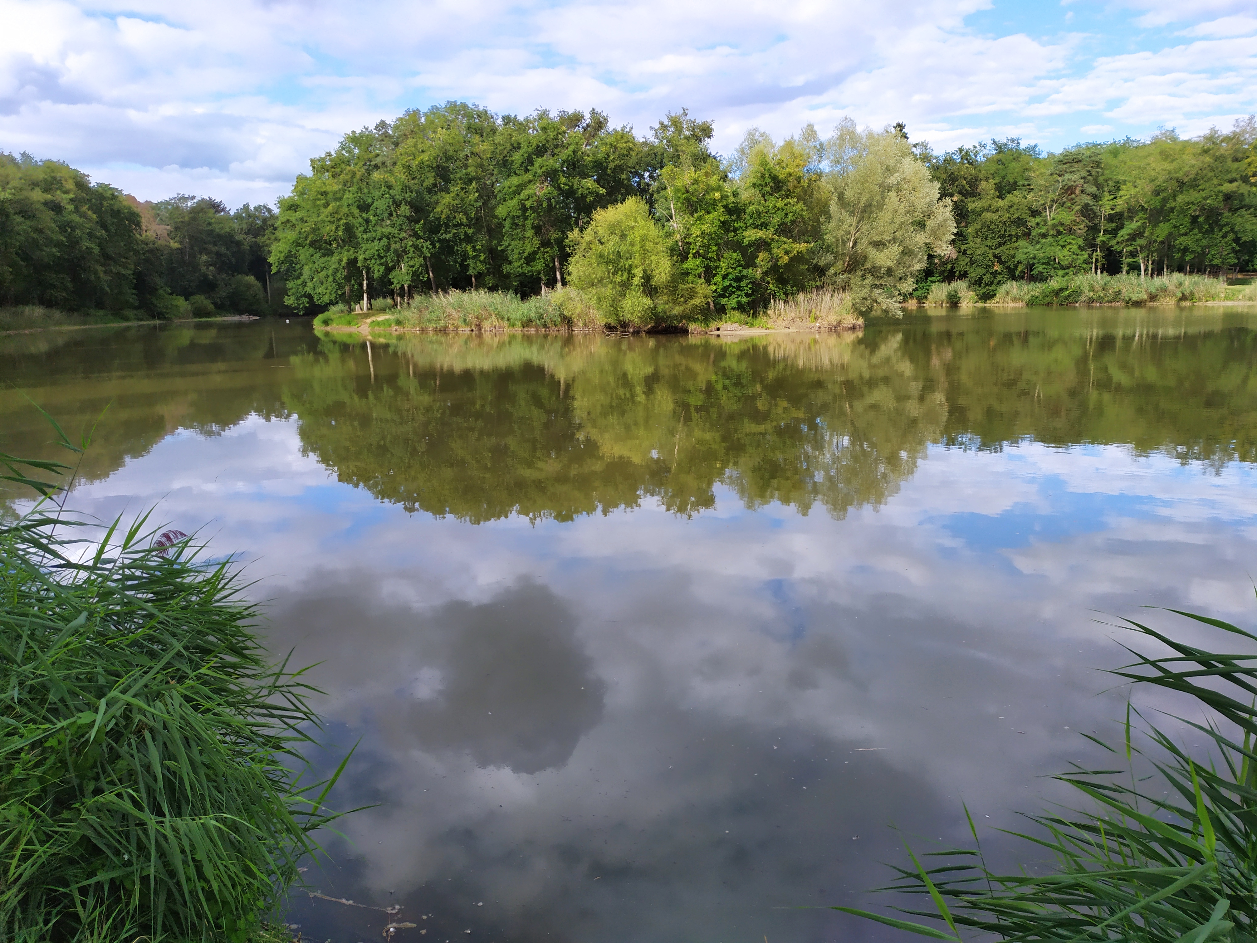 Etang de l'Isle