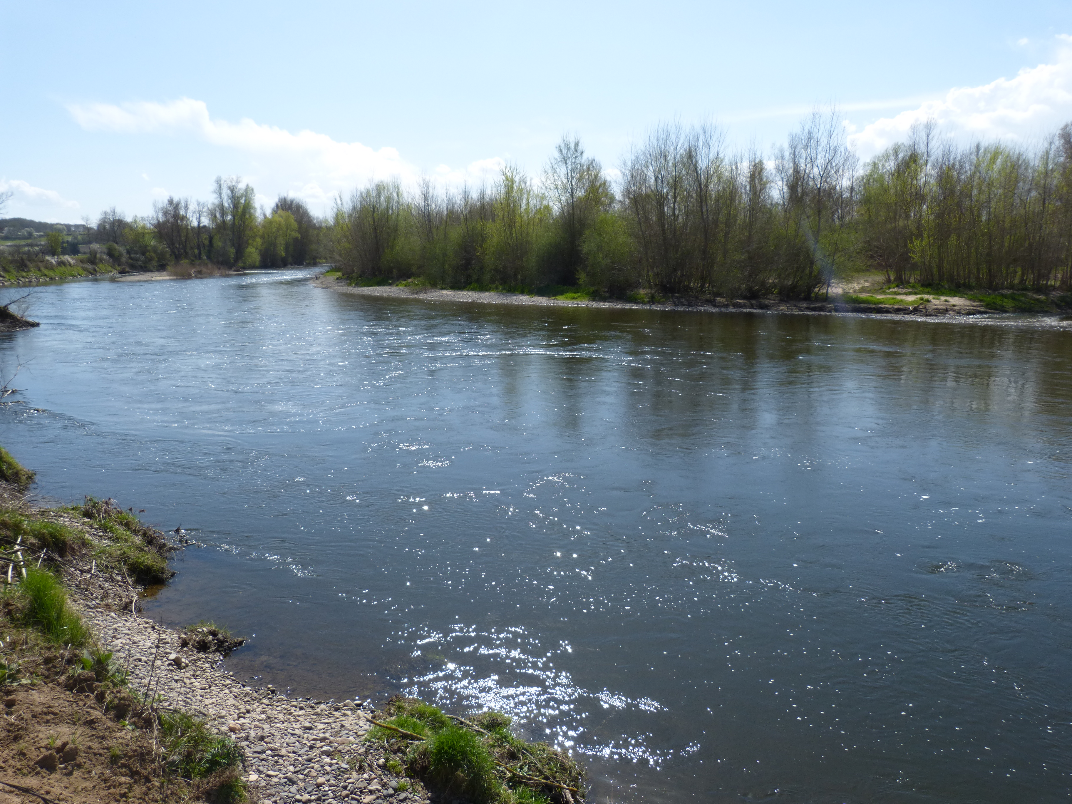 Berges de l'Allier