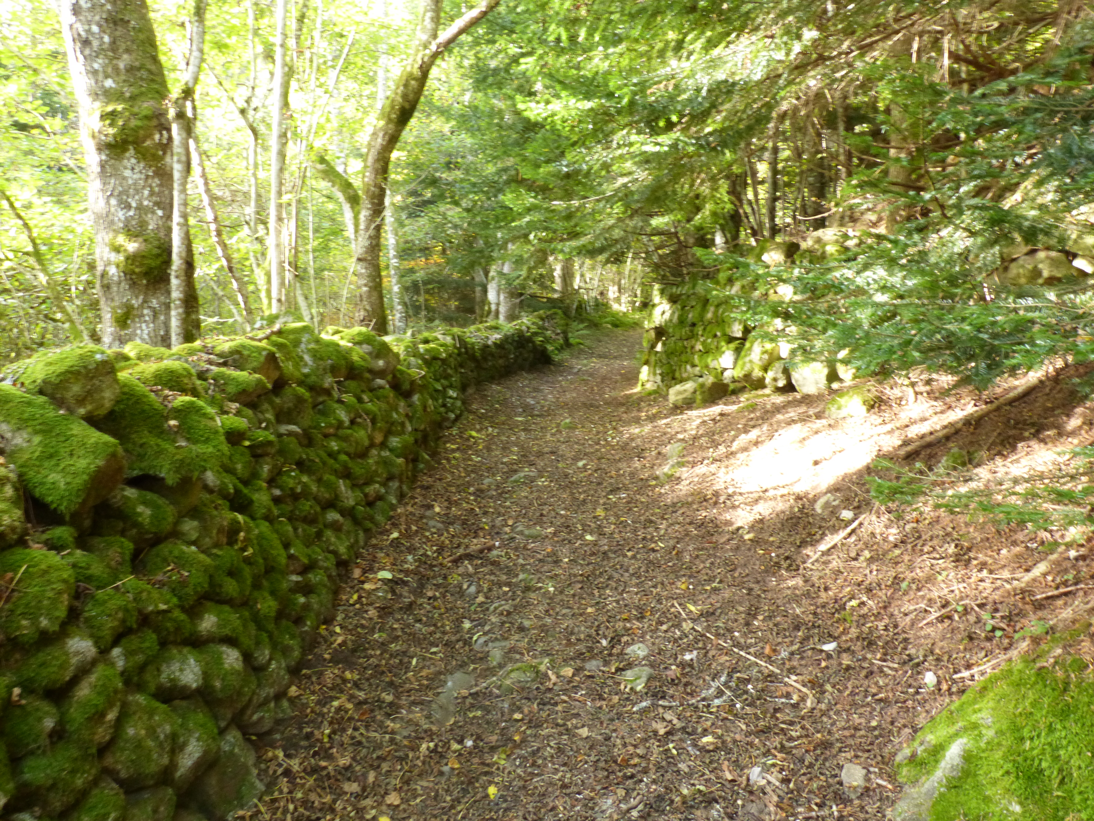 Sentier vers les ruines des Gouttes