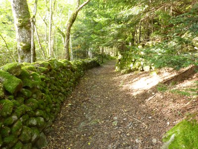 Sentier vers les ruines des Gouttes