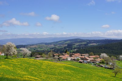 point de vue du circuit