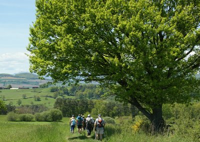 Randonneurs à Sugères