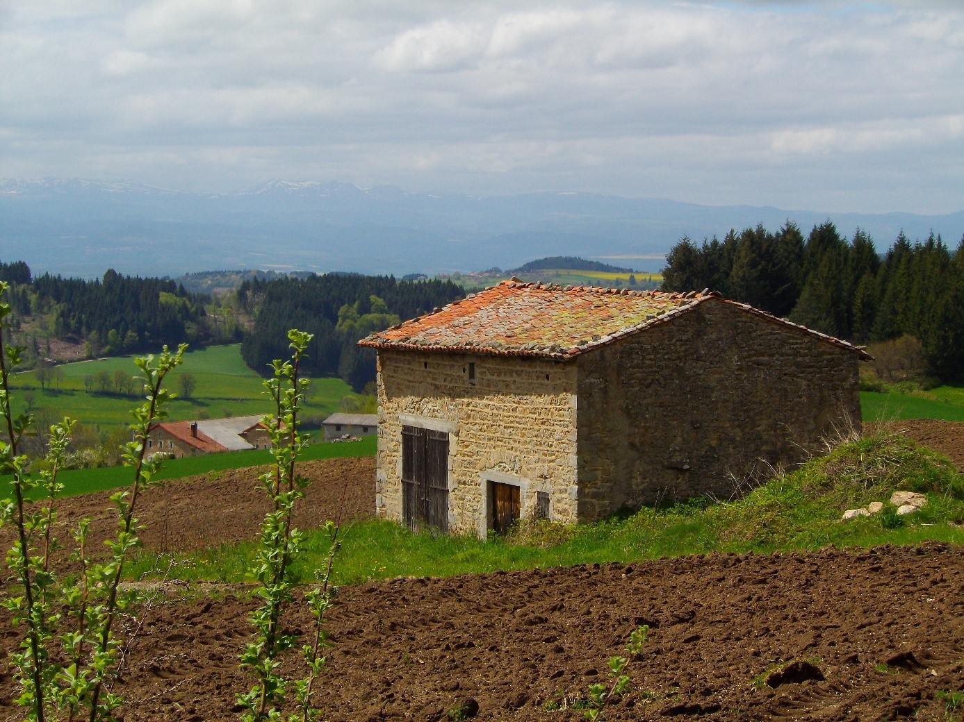 point de vue sur le massif du sancy