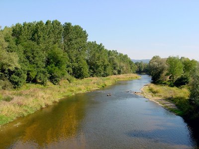 Dore à Puy-Guillaume