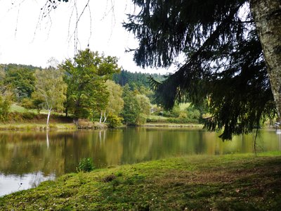 Etang de malforêt