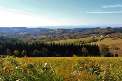 Vue sur le plan d'eau de Saint-Rémy