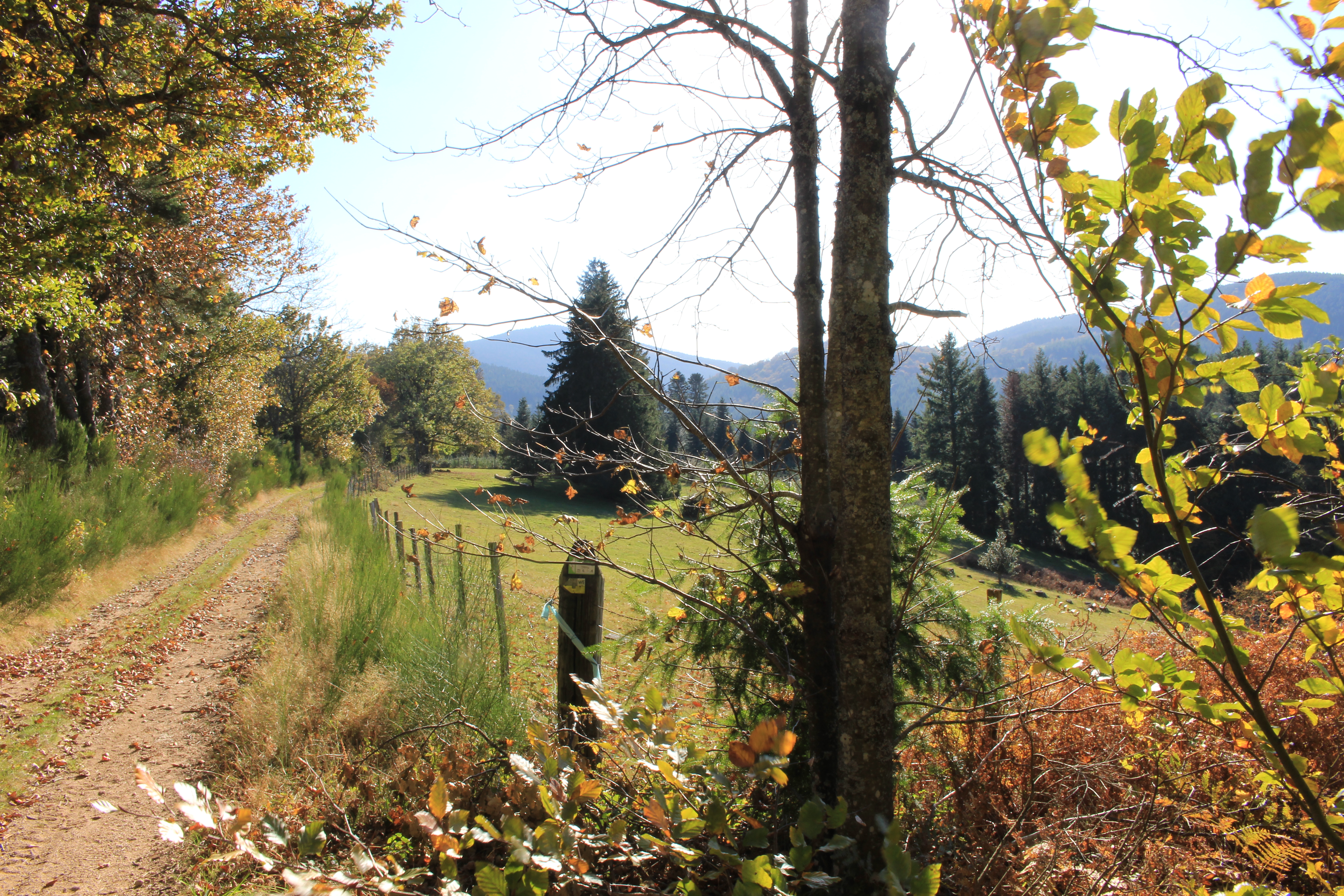 Vue sur le chemin