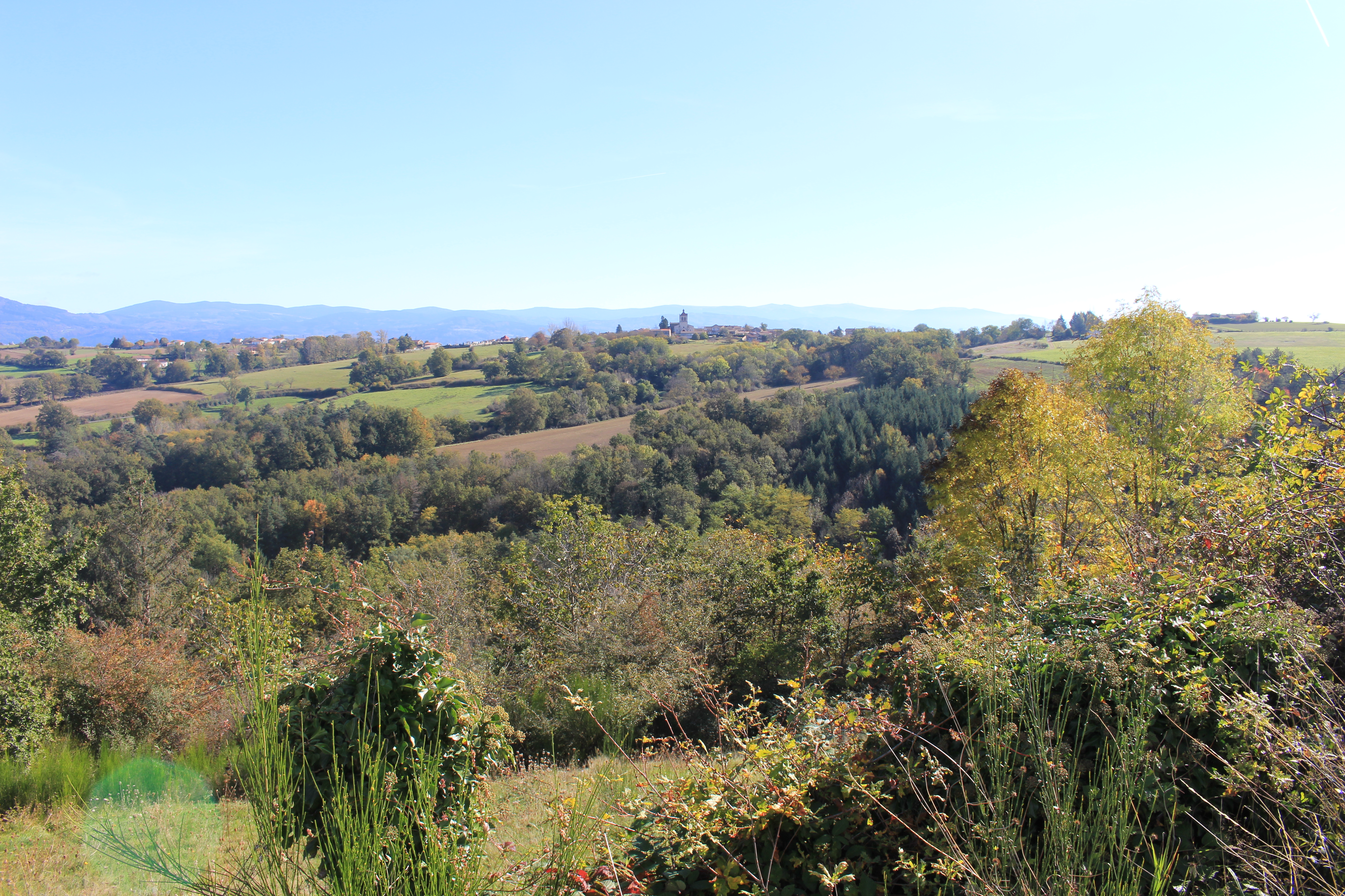 Vue sur Sermentizon