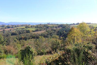 Vue sur Sermentizon