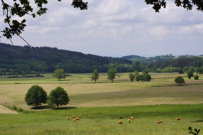 Vue a Saint-Jean-des-Ollières