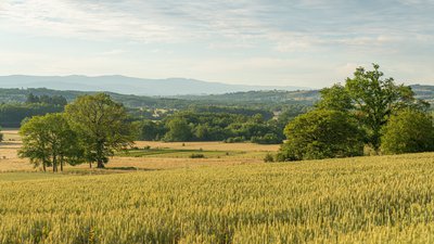 Point de vue